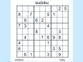 Sudoku 2 Oyunu